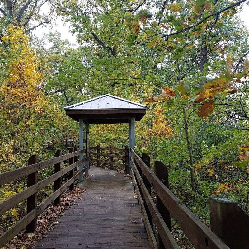 Geological Significance You Can Actually Feel Underfoot