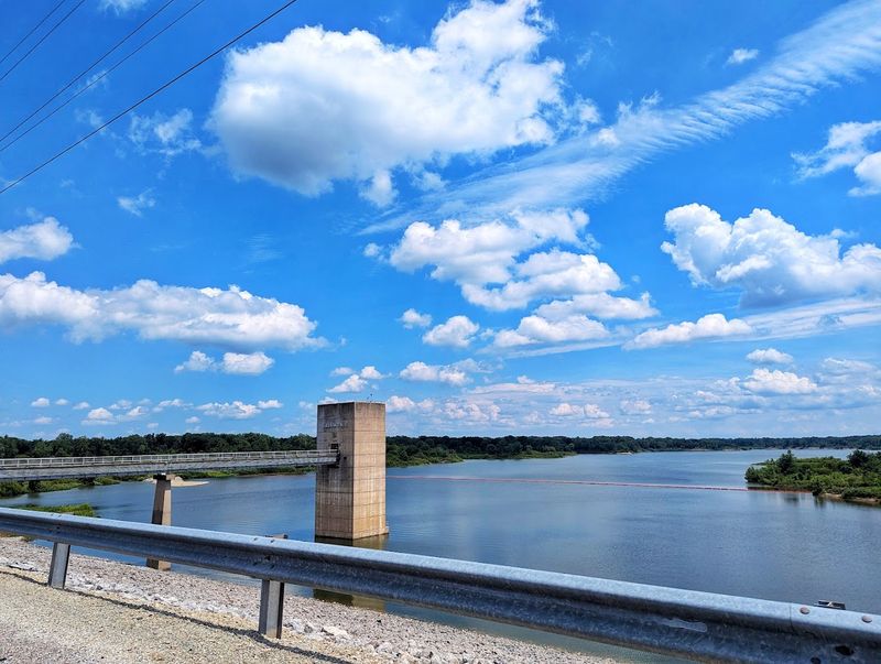 Wildlife Watching That Rewards Patience With Incredible Sightings