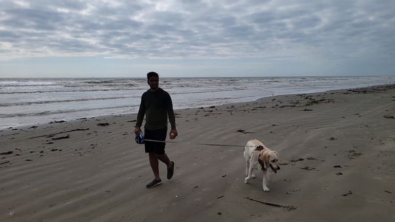 East Beach, Galveston Island