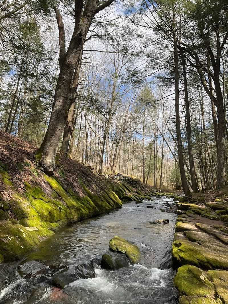 What to Eat Before and After the Hike to Complete the Experience