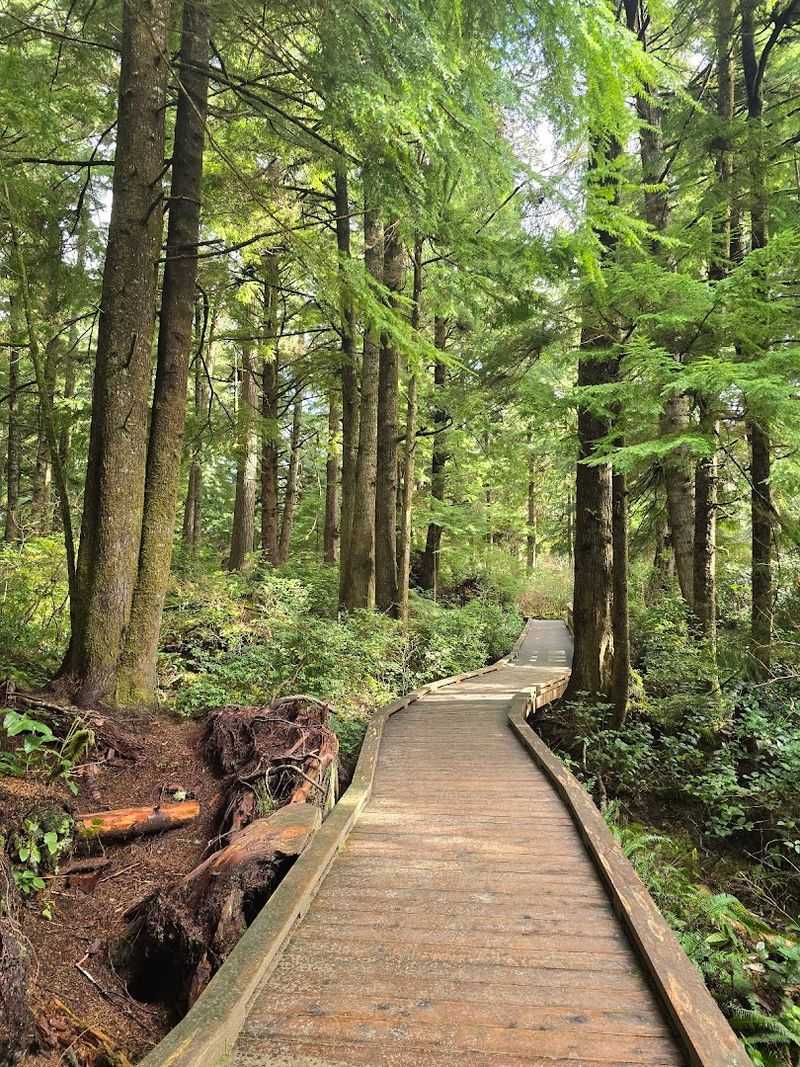 Accessibility and Who the Trail Is Best For