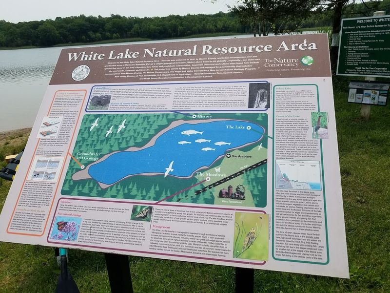 Photography Opportunities That Will Fill Your Camera Roll Fast