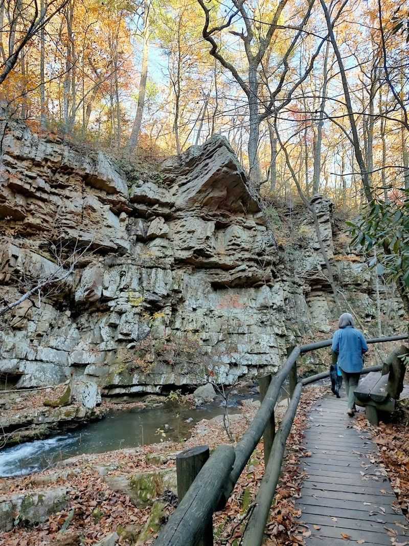 Planning Your Visit: Practical Tips for Getting the Most Out of Roaring Run Falls