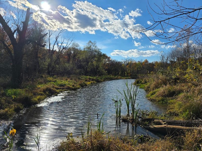 Seasonal Beauty: Something Different Every Visit