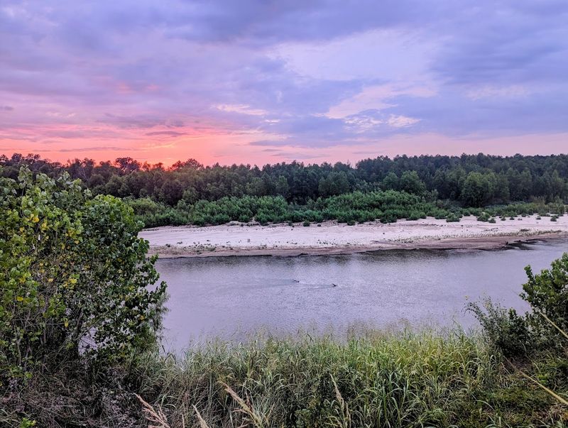 Best times to visit for the most enjoyable ride