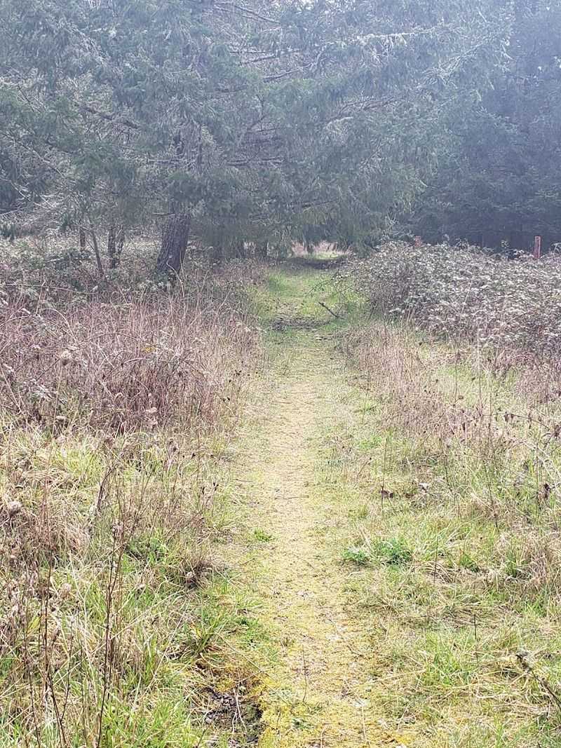 Best Times to Visit for Ideal Trail Conditions