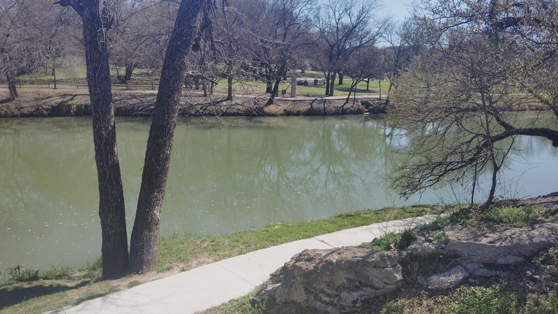 Wildlife Watching Along the Paluxy: Birds, Turtles, and More