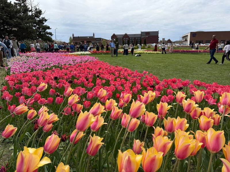 This Spring Tradition Feels Bigger Every Year