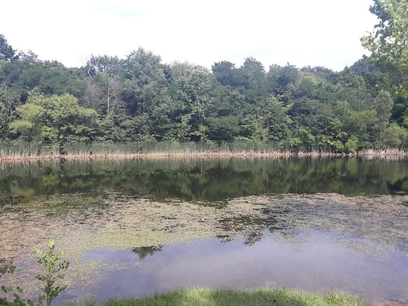 Rich Wildlife and Wildflower Diversity Throughout the Seasons