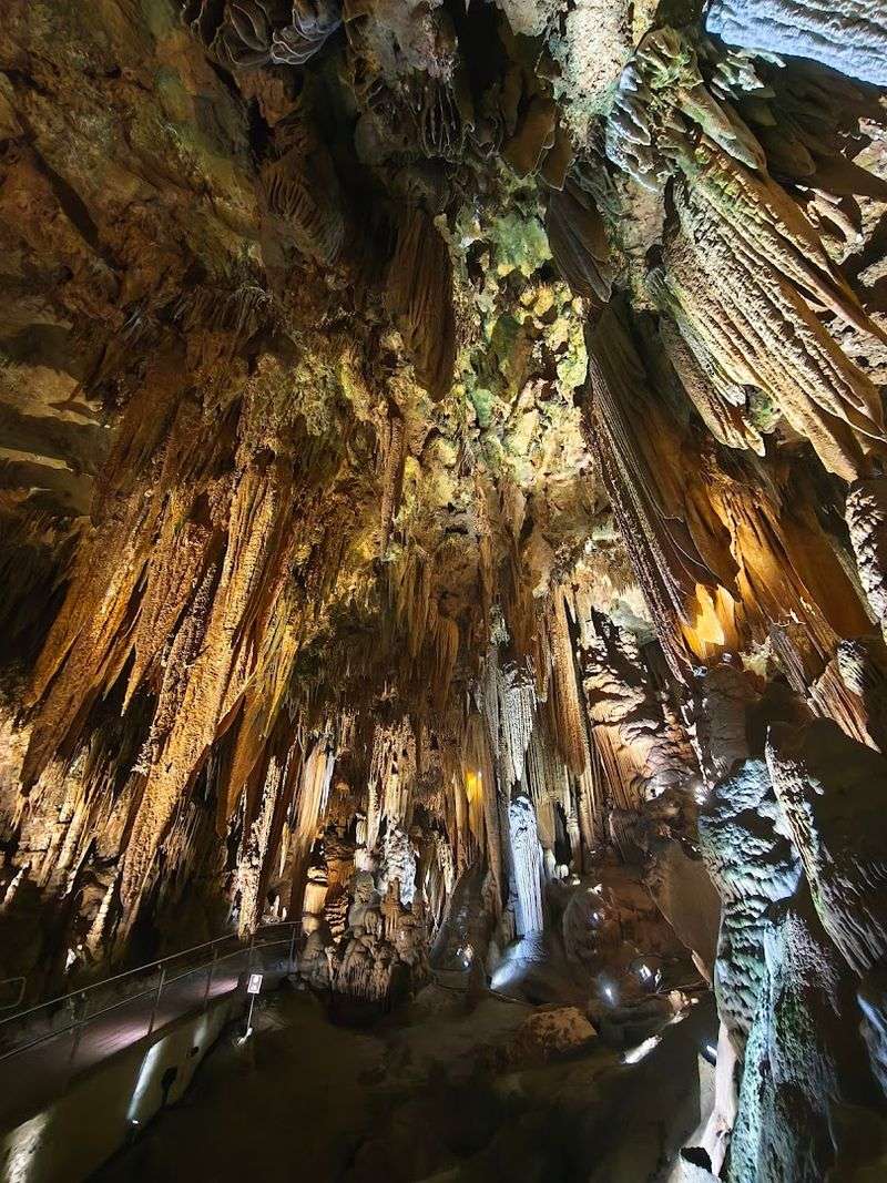 Why the Automated System Is Actually Genius