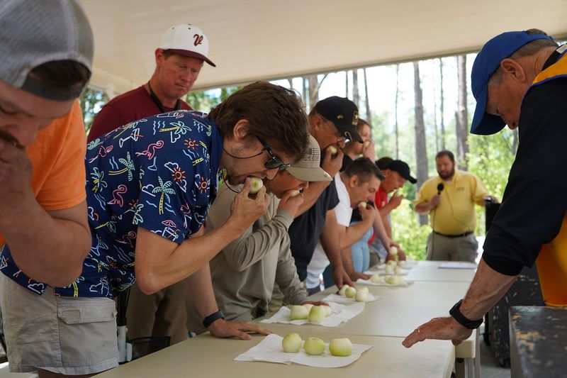 Sample the Wild Variety of Onion-Inspired Foods