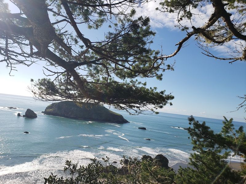 Bird Watching Along One of Oregon's Best Coastal Spots