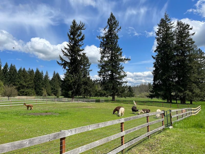 The Farm Setting That Sets the Whole Mood
