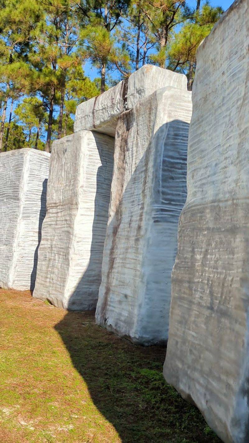 Standing 21 Feet Tall Among The Pine Trees