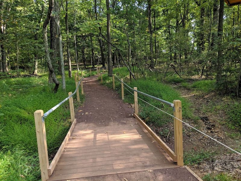 Sensory Trail (Watchung Reservation)