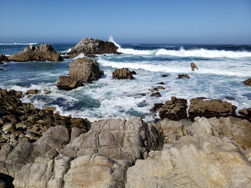 Tide Pools Full of Tiny, Incredible Worlds