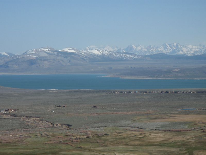 Bird Habitat Still Sits At The Center