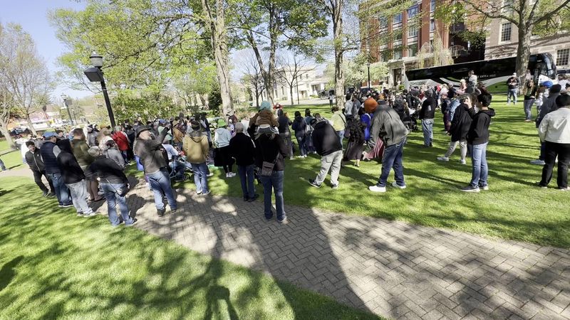 Spring Crowds Change The Energy Fast