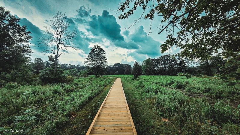 Practical Tips for Your Spring Visit