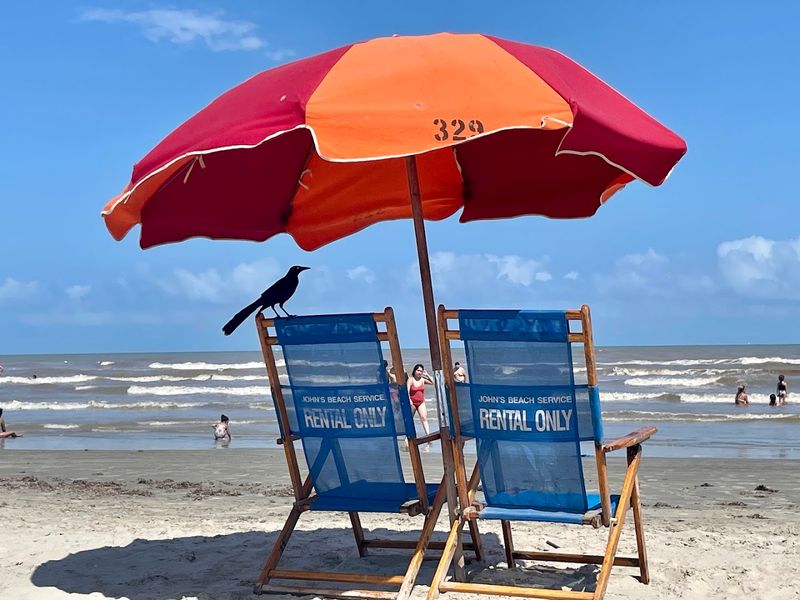 Stewart Beach, Galveston