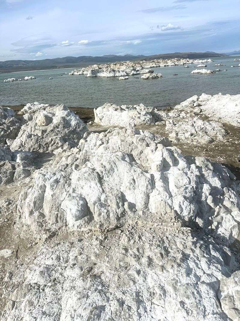 Salinity Raises The Stakes For What Lives Here