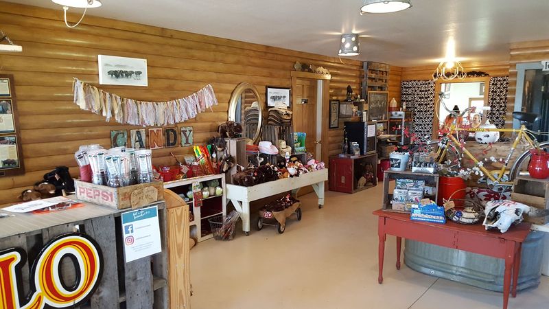 The Buffalo Treasures Gift Shop and Local Bison Products