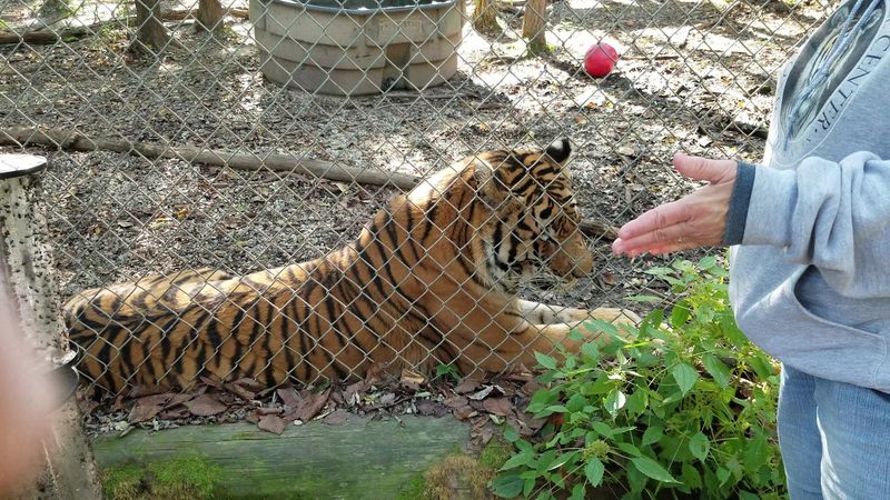 Special Behind-the-Scenes Tours and Seasonal Events