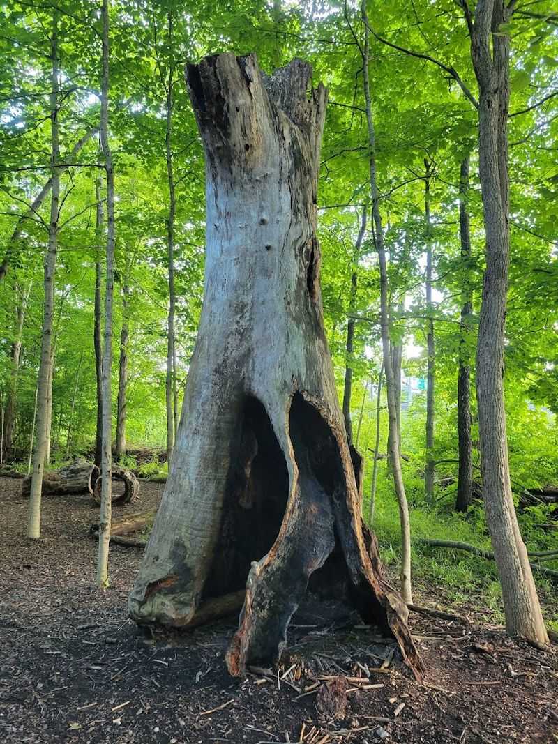 Nature Play Area Encourages Imagination and Exploration