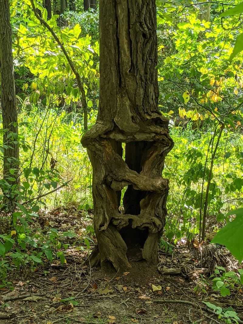 Year-Round Access and Nearby Valparaiso Attractions to Complete Your Day