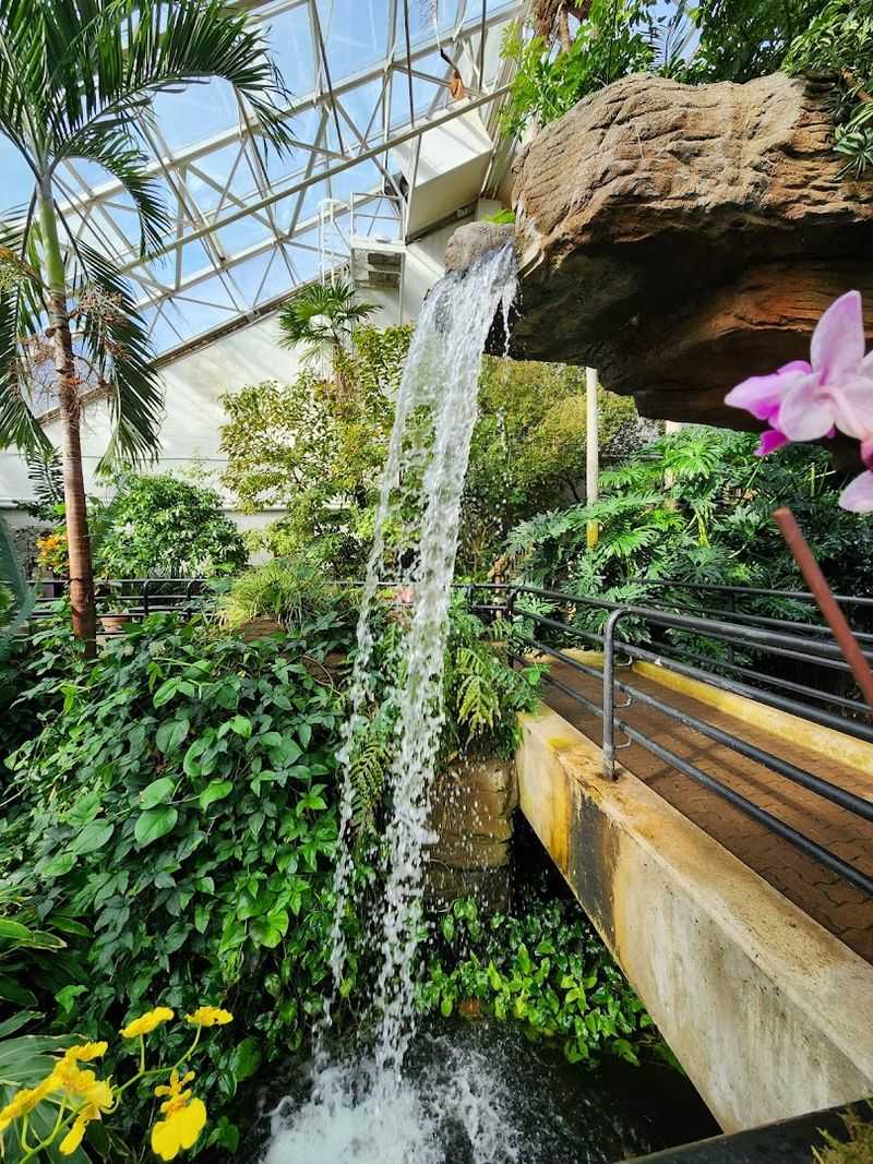 Cafe Flora: A Garden-Inspired Spot for Coffee and Light Bites