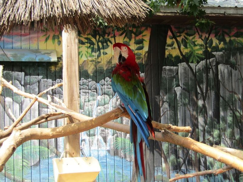 Family-Friendly Amenities That Keep the Fun Going All Day