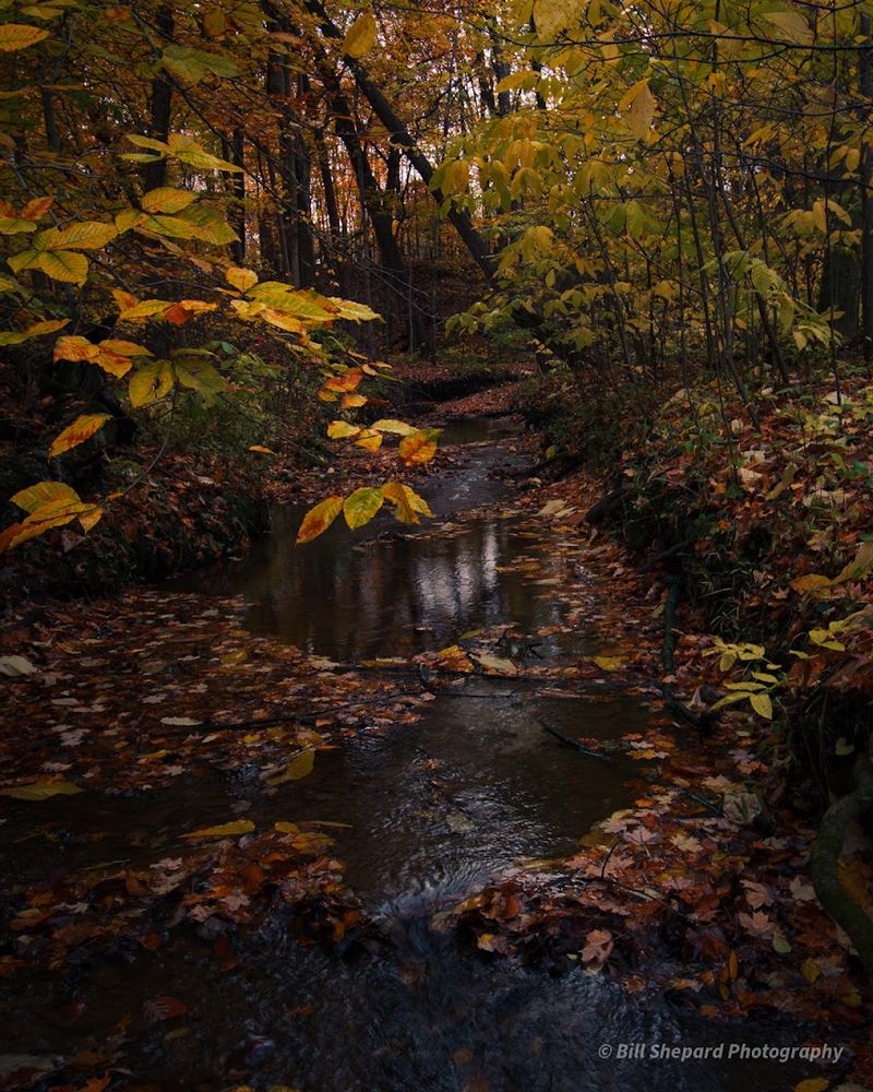 The Rare Feeling of Having a Beautiful Place Almost Entirely to Yourself