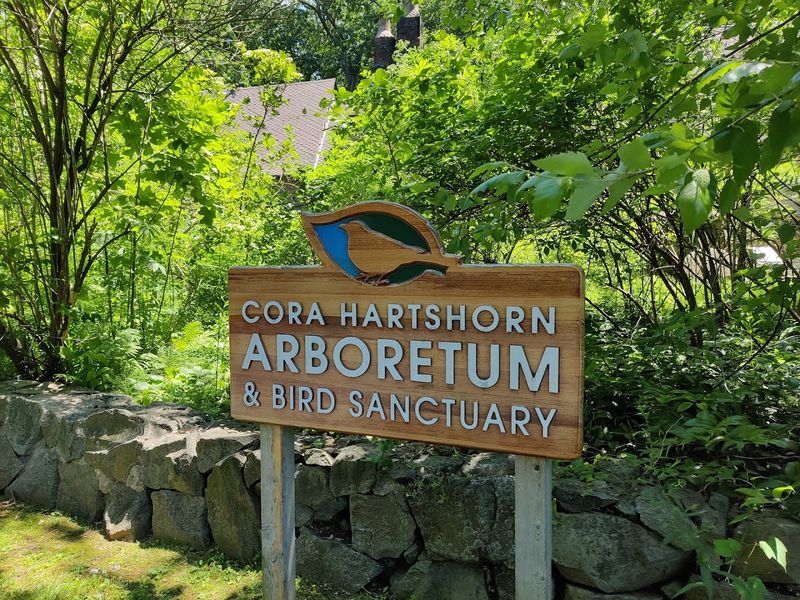 A Peaceful Escape That Feels Miles Away From Everything