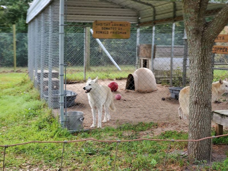 How Storms Tested the Sanctuary and What Came Next