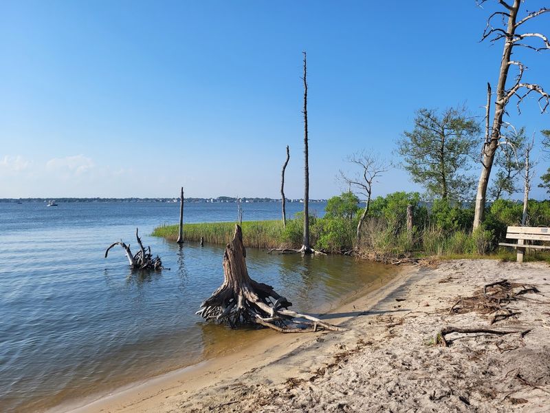 Cattus Island County Park