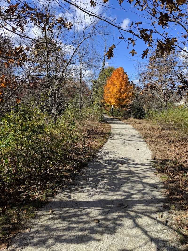 Boundary Creek Park Loop Trail