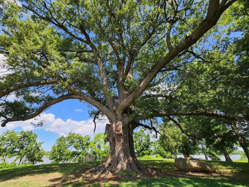 The James River Views Are Absolutely Unreal