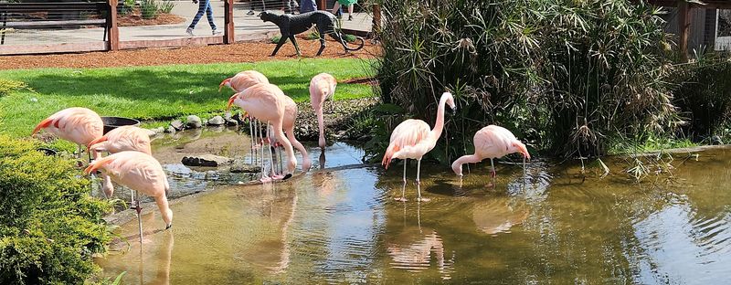 The Aviary and Bird Feeding Experience