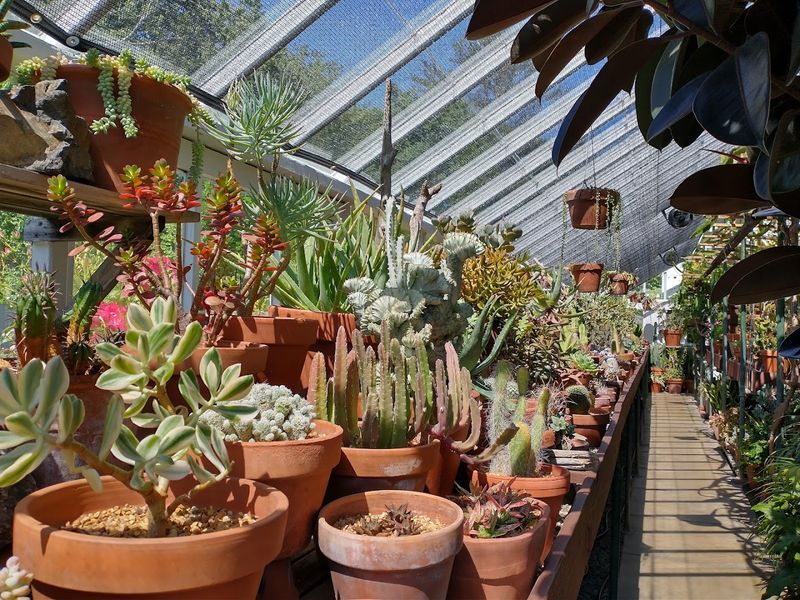 The Tropical Conservatory Full of Wild Surprises