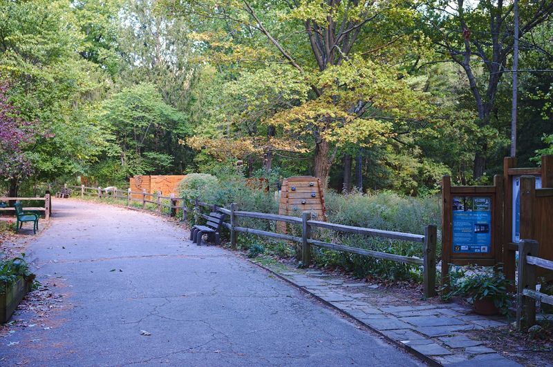 Support Conservation Through Education And Awareness Programs