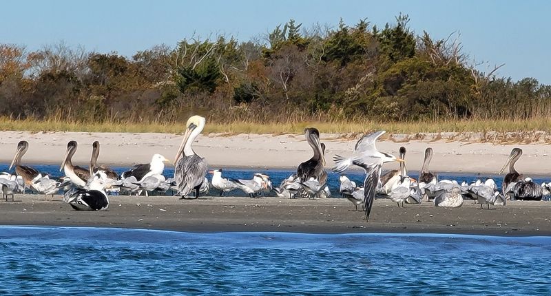 Planning Your Visit: What You Need to Know Before You Go