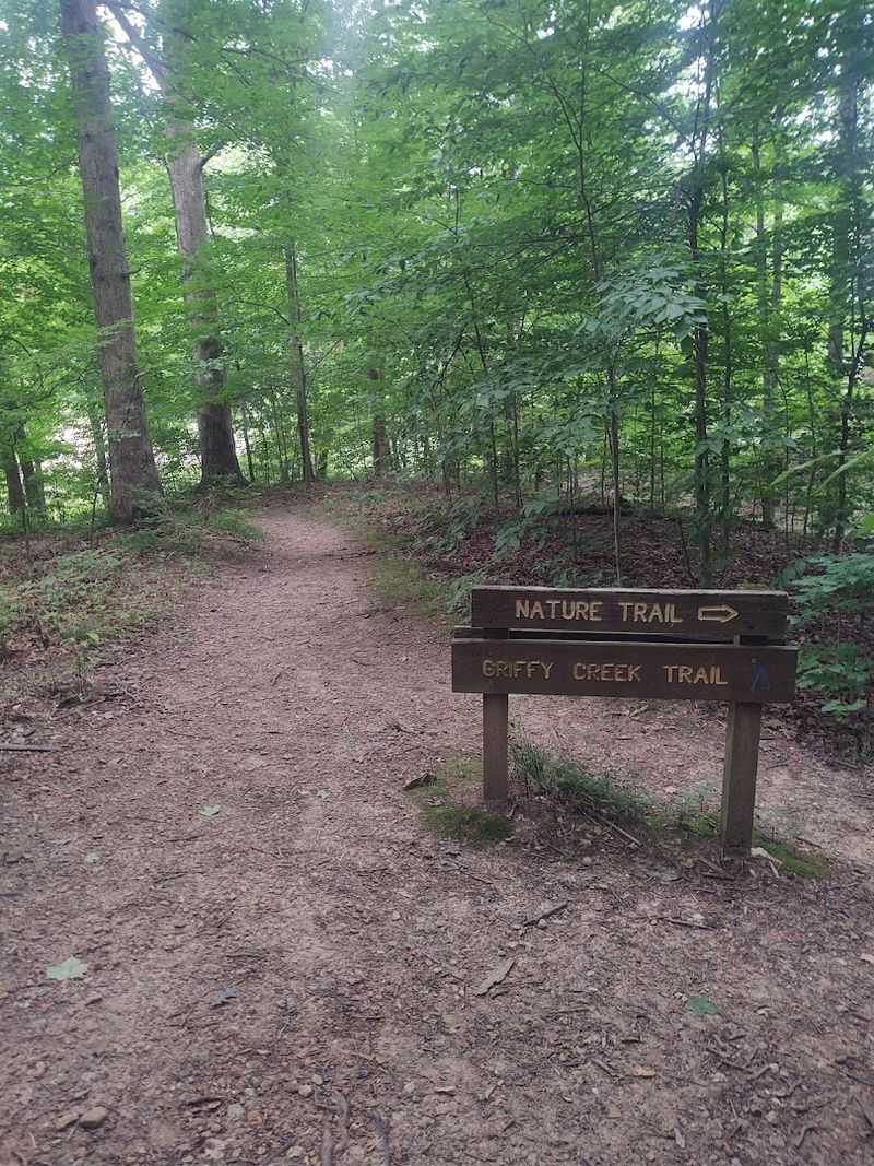 A Mature Upland Forest Unlike Anything Nearby