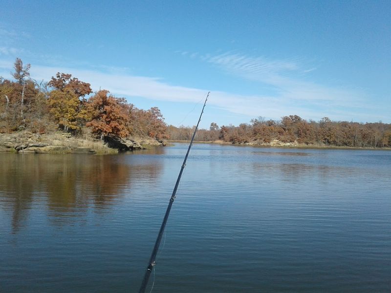 The Five Coves and What Each One Offers