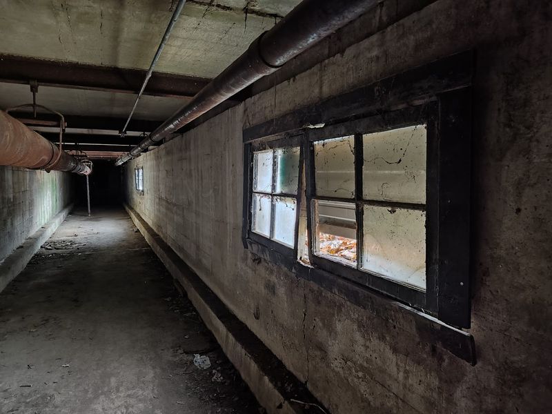 Discover a Photographer's Paradise of Decay and Beauty