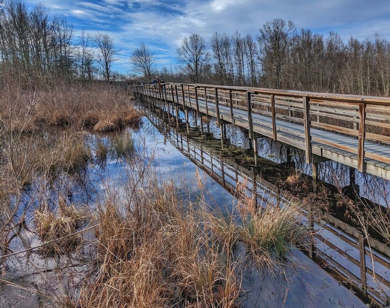The Wildlife Observation Center Boardwalks