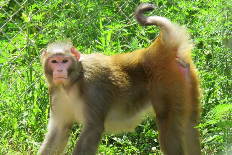 Supporting Vital Conservation Through Sanctuary Visits