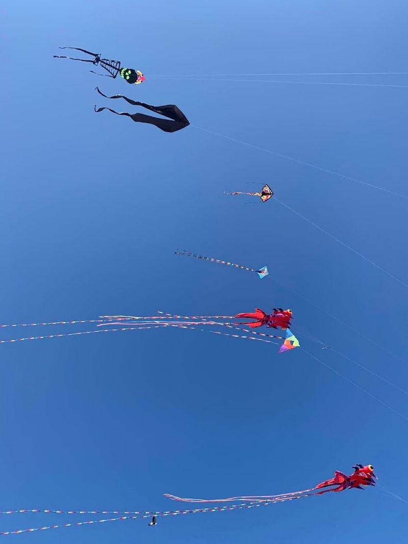Why the Summer Kite Festival Keeps People Coming Back