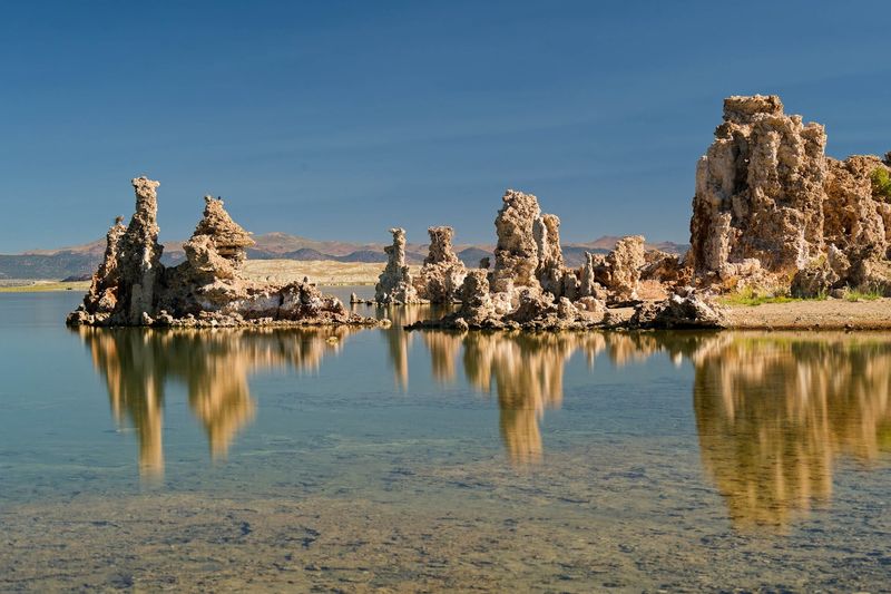 The Ecological Stakes Feel Bigger Than A View