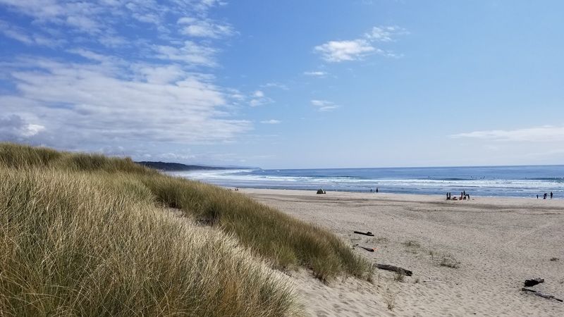 What Makes South Beach State Park Worth the Drive