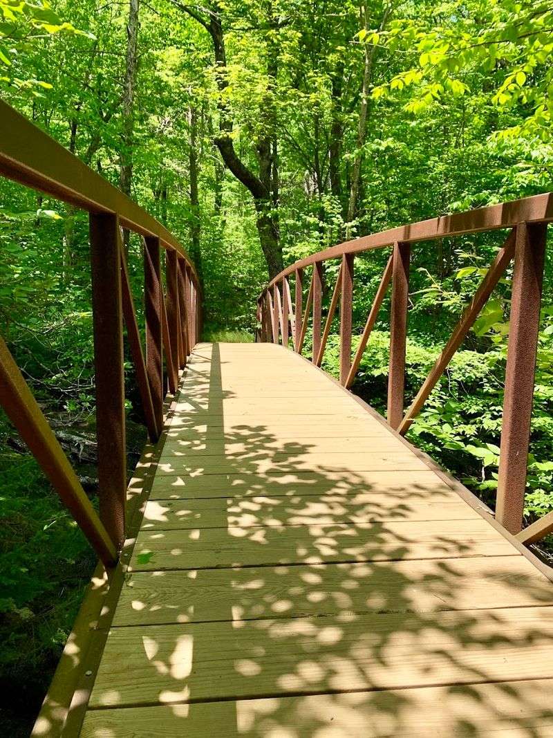 Bridges, Streams, and That One Perfect Pause